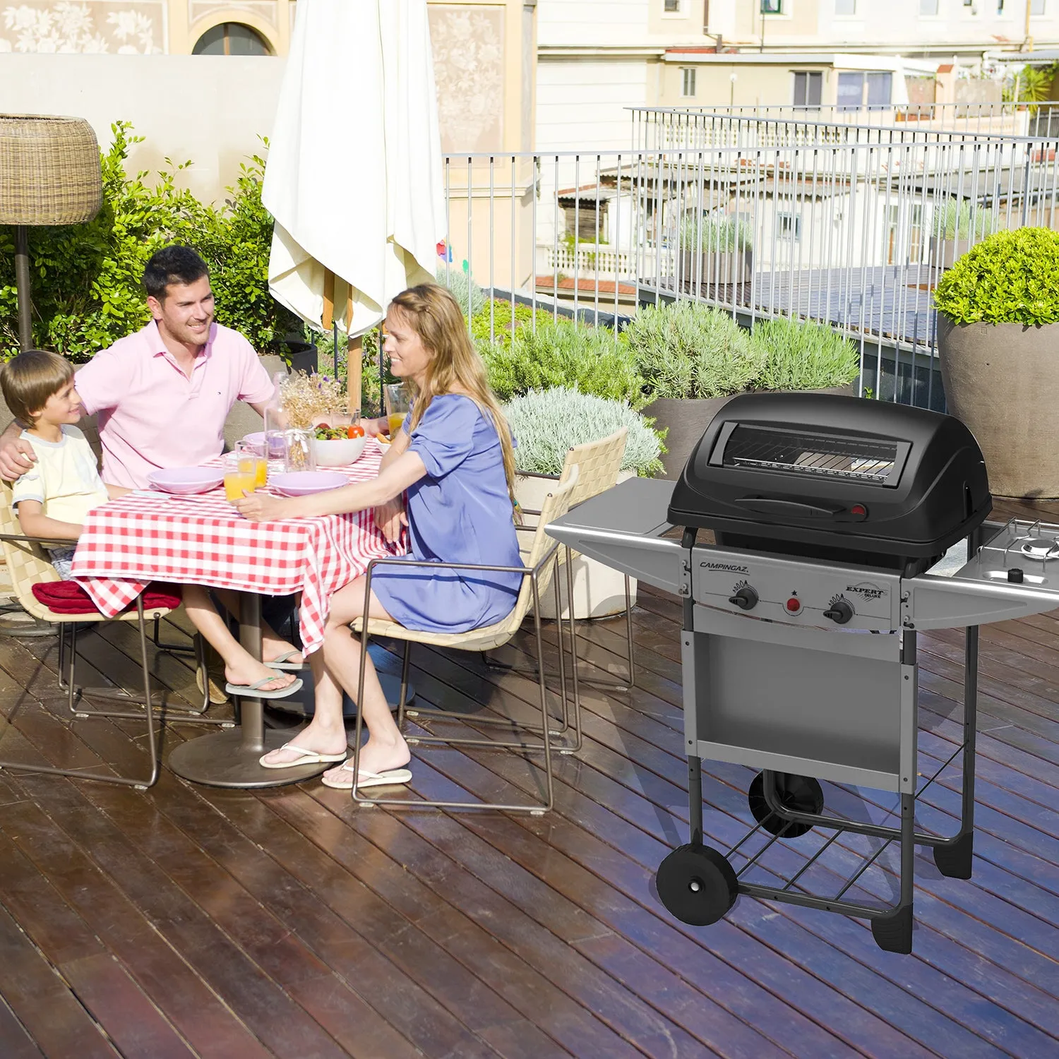 Barbecue Gas Expert Deluxe Cz Bbq