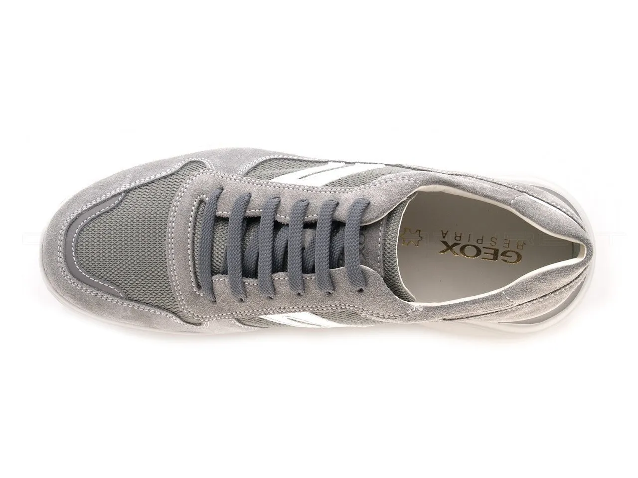 Geox uomo Sestiere sneakers