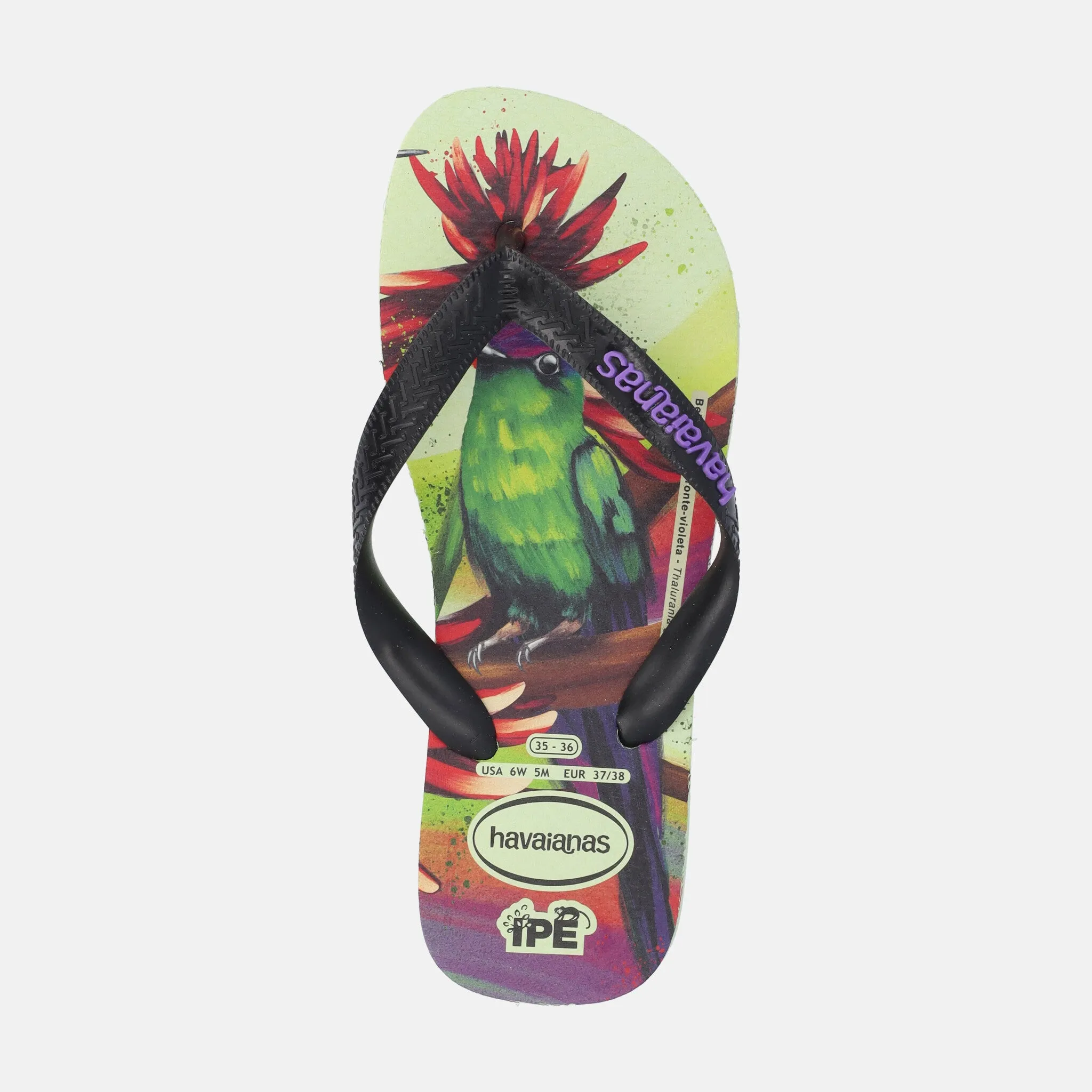 HAVAIANAS IPE